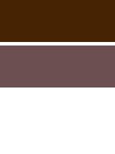Marron oscuro. Ref: 285 Composicion: Fe-Cr-Mn Estructura: Espinela